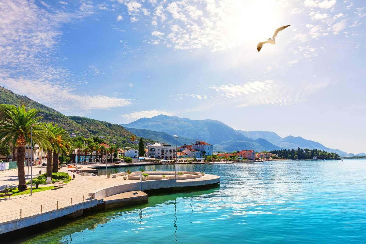 Tivat